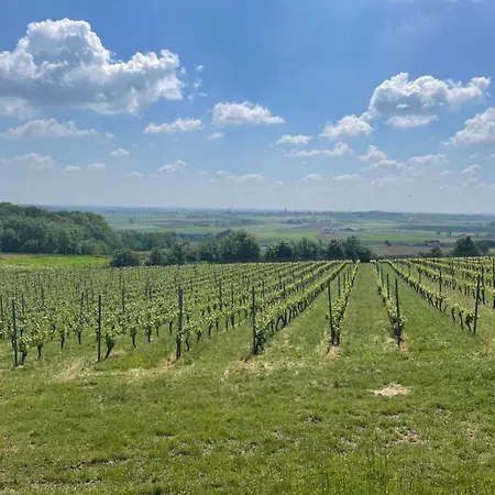 Habitación en casa particular 52 *